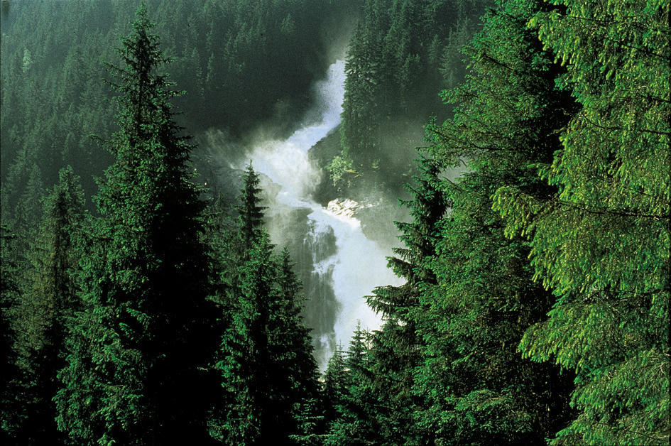 Hotel Oberwirt - Nahe An Saalbach Und Zell Am See, Viehhofen Sommercard Экстерьер фото